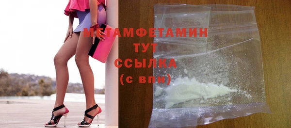 прущие грибы Тобольск