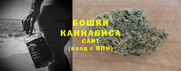 прущие грибы Тобольск