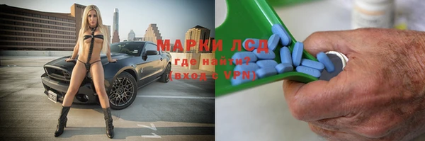 прущие грибы Тобольск