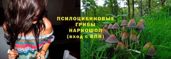 меф Тихвин