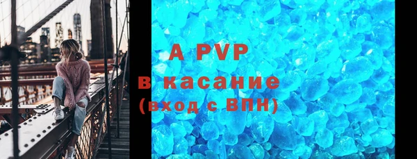 прущие грибы Тобольск