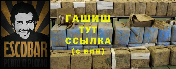 прущие грибы Тобольск