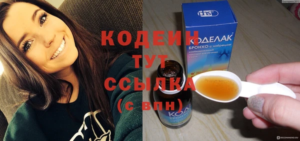 прущие грибы Тобольск