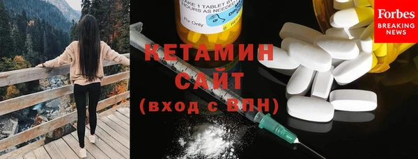 прущие грибы Тобольск